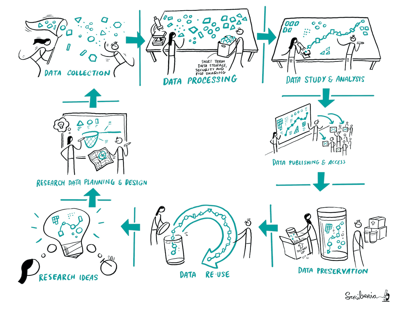 A graphic denoting the different stages of the research data life cycle